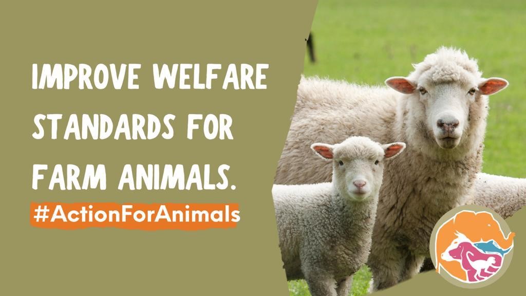 Action for animals - farm animals