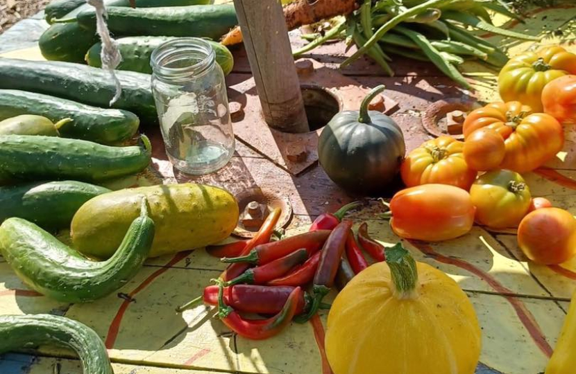 Allotment