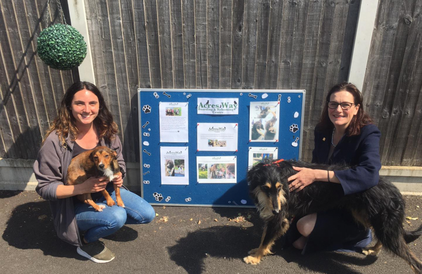 Mrs Harris at Acres Way Boarding and Rehoming Centre