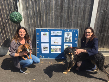 Mrs Harris at Acres Way Boarding and Rehoming Centre